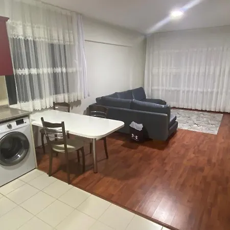 Appartement Newly Decorated Comfortable Condo. Gebze
